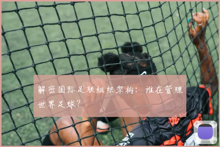 解密国际足联组织架构:谁在管理世界足球?