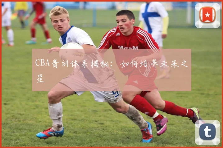 CBA青训体系揭秘：如何培养未来之星