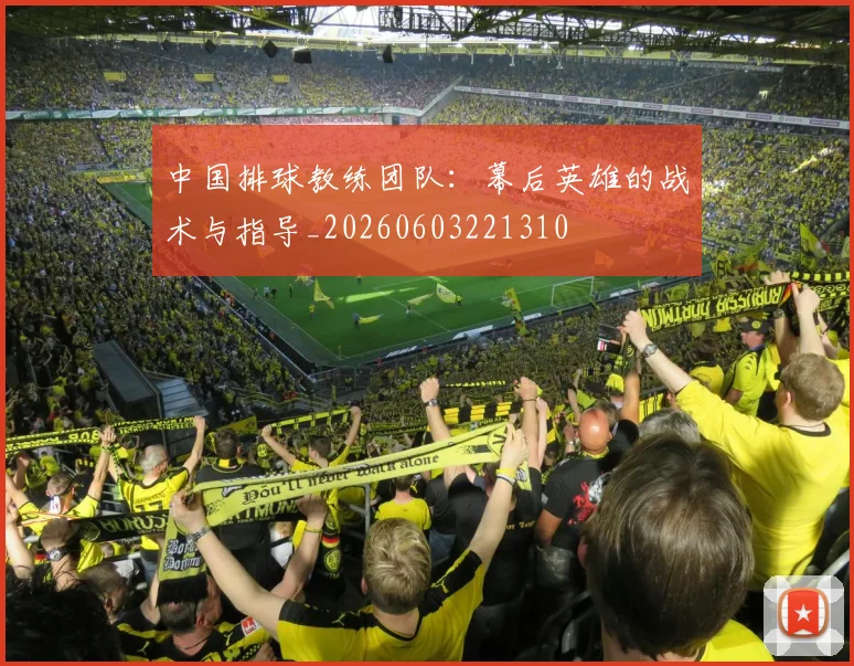 中国排球教练团队:幕后英雄的战术与指导_20260603221310