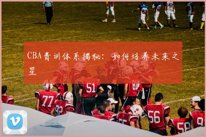 CBA青训体系揭秘：如何培养未来之星
